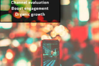 manage social media accounts and get your brand noticed