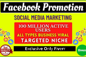 do organic facebook marketing, ads, and social promotion for fb business page
