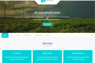 help you with wordpress installation, demo theme and plugin installation