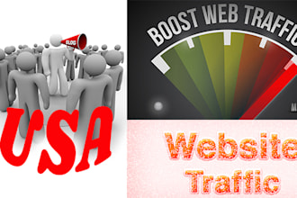 drive google USA traffic organic keyword targeted SEO