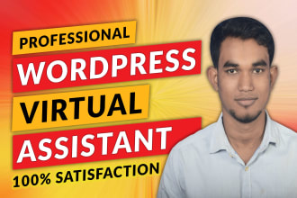 be your wordpress virtual assistant, consultant, and helper