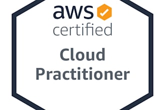 provide expert AWS devops support