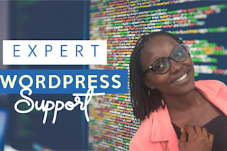 provide wordpress maintenance,update and support