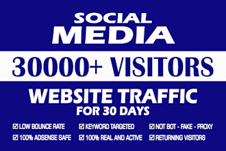 drive social media web traffic for 30 days