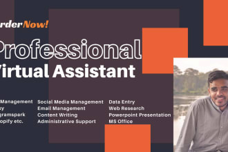 be expert virtual assistant for data, project management