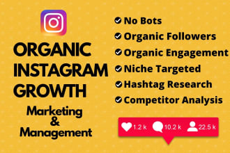 do fast targeted organic instagram growth and engagement
