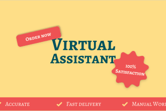 be your virtual assistant for data entry, copy paste and web research