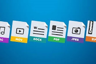 convert your files to the desired format