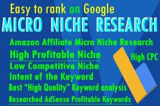 do profitable low competition micro niche keyword research