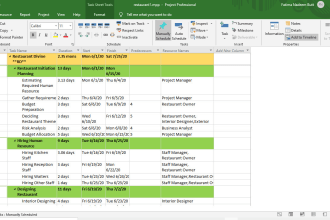 create gantt chart, schedules, wbs in ms project, excel