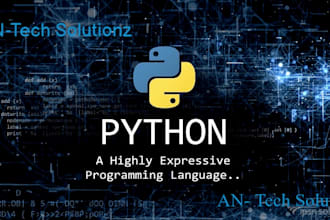 work on python tasks for you