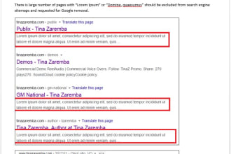 create a technical SEO audit of your website