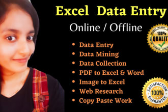 do excel data entry