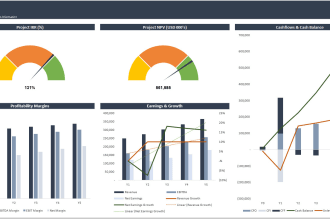 prepare fully customized financial models