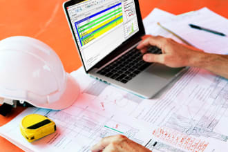 make primavera p6 schedule gantt chart professionally