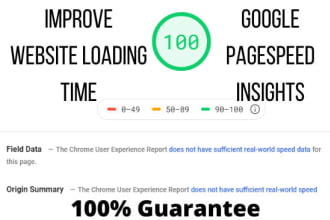 improve your google pagespeed insights score up to 100