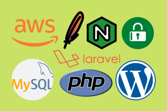 setup website on AWS ec2 lightsail