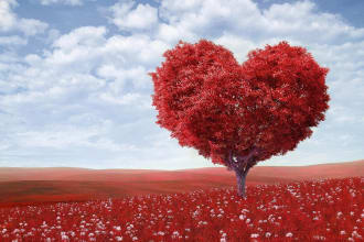 cast a love attraction spell for you