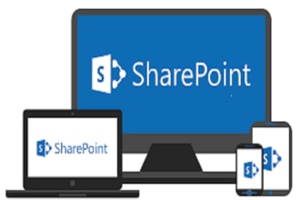 provide sharepoint on prem, online, power apps, automate and power bi solutions