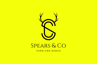 make a creative minimalist logo for your company or brand