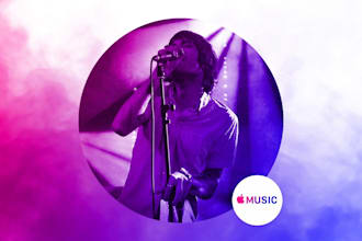 perform crazy organic apple music promotion