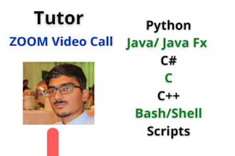teach bash, docker, python, c, cpp, csharp, java as a tutor