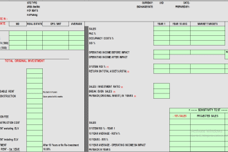 provide financial projections, forecasting,  breakeven analysis and ROI