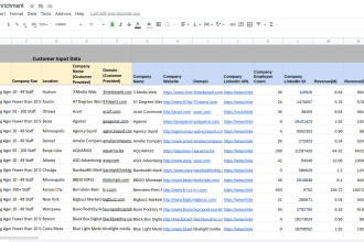 do company data enrichment