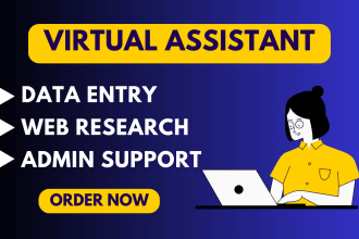be your virtual assistant for excel data entry data collection admin support