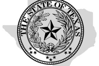 prepare texas llc formation docs with strategic guidance