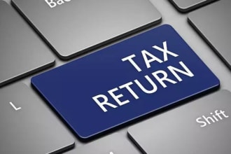 do and prepare US tax return for you