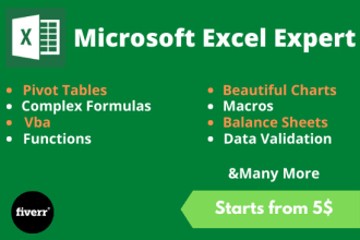 do your excel spreadsheet projects,vba,formulas ,macro,google spreadsheets