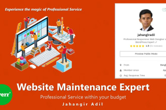 manage your wordpress website professionally