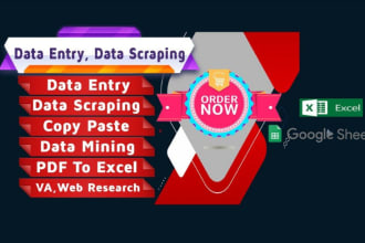 do data entry typing work in excel spreadsheet