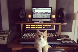 be your music producer, ghost producer