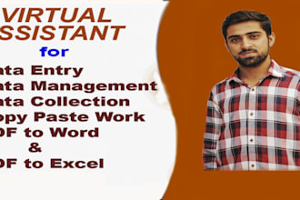 be your virtual assistant for data entry, collection copy paste, file conversion