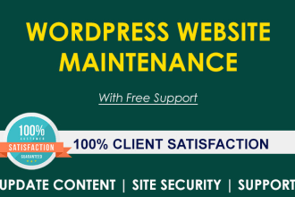 provide wordpress website management service