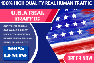 drive keyword target USA website traffic with low bounce rate