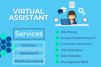 be your virtual assistant for data entry, web research, blog or product upload