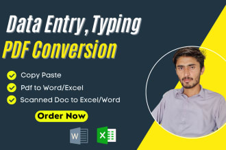 do a fast typing job, retype pages, copy paste, pdf to word, fast typist