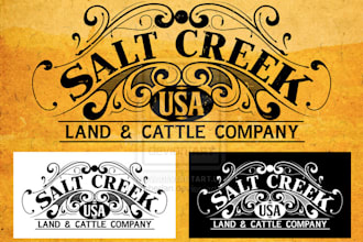design a professional logo for your website, company or business