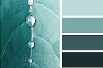 create clear color scheme for your project
