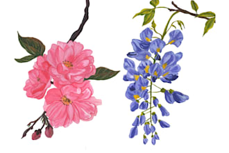 paint botanical illustration of flowers and plants for you