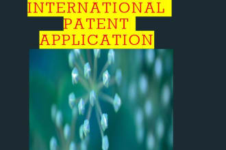 assist to file pct international patent application