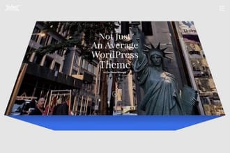 customize salient theme by themenectar and make a website
