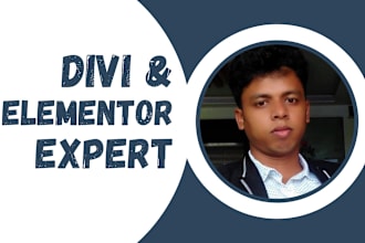design your wordpress website, divi theme, elementor page builder