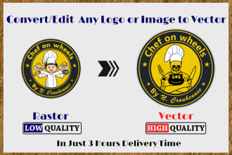 redraw image trace and vectorize bitmap to editable format