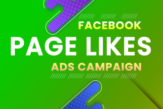 create a facebook ad campaign to grow your page likes
