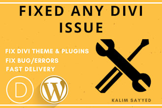 fix any divi theme bug and issue
