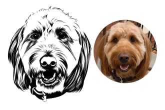 draw amazing line art for your pet